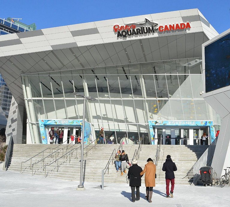 Trendy 1 bdr, 2 bed by the Rogers Center w/parking